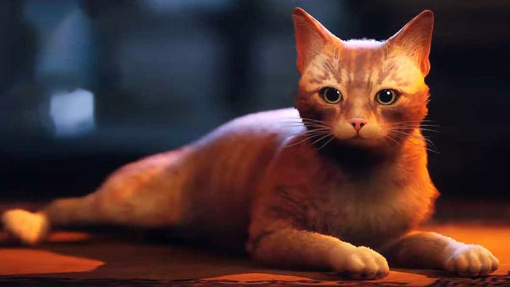 "เกม stray" เกมผจญภัยด้วยการสวมบทบาทเป็นแมว By KUBET
