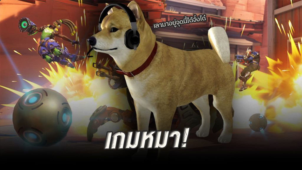  เกม dota2 (เกมหมา)   BY KUBET