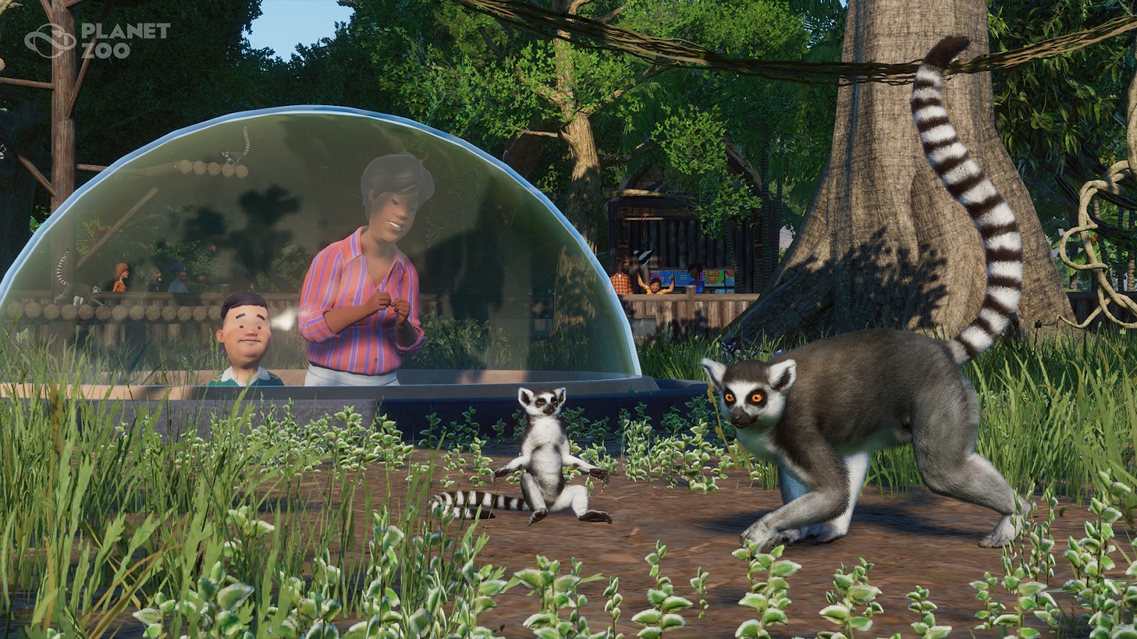เกม Planet Zoo KUBET