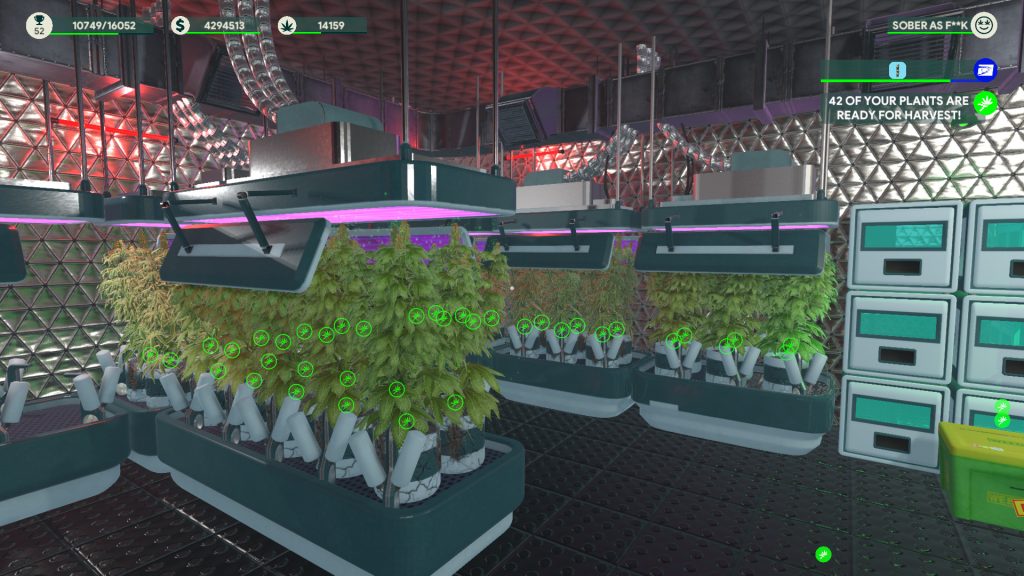 weed shop 3 By KUBET