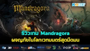 Mandragora